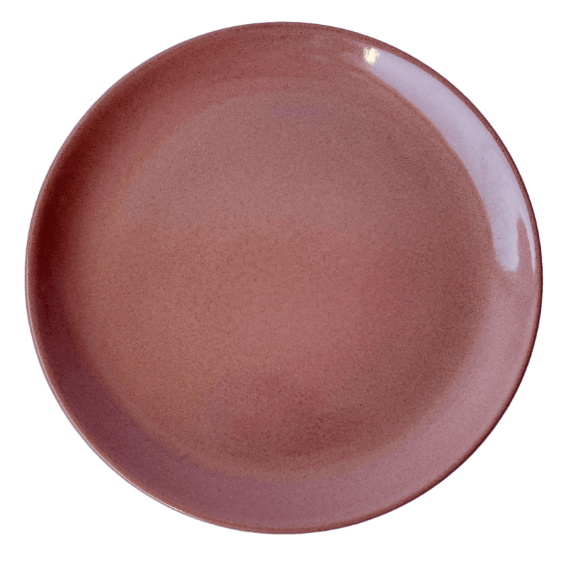 Dinerbord rustic reef