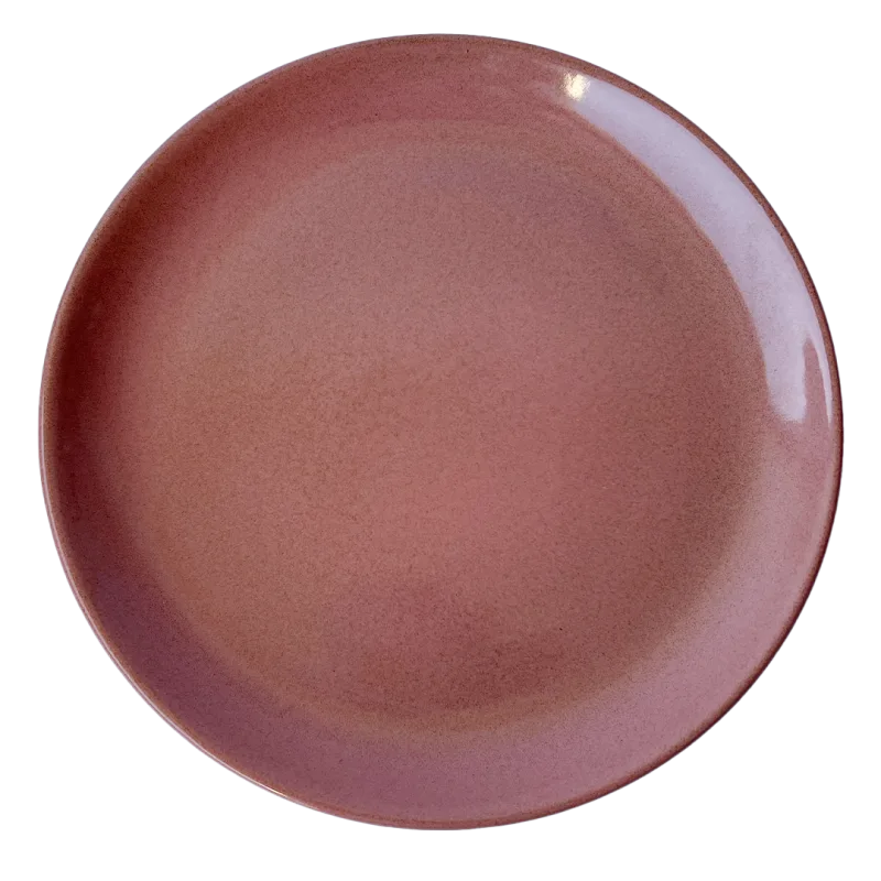 Dinerbord rustic reef