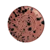 Raspbordje oranje/roze met zwarte spikkels ø12,5